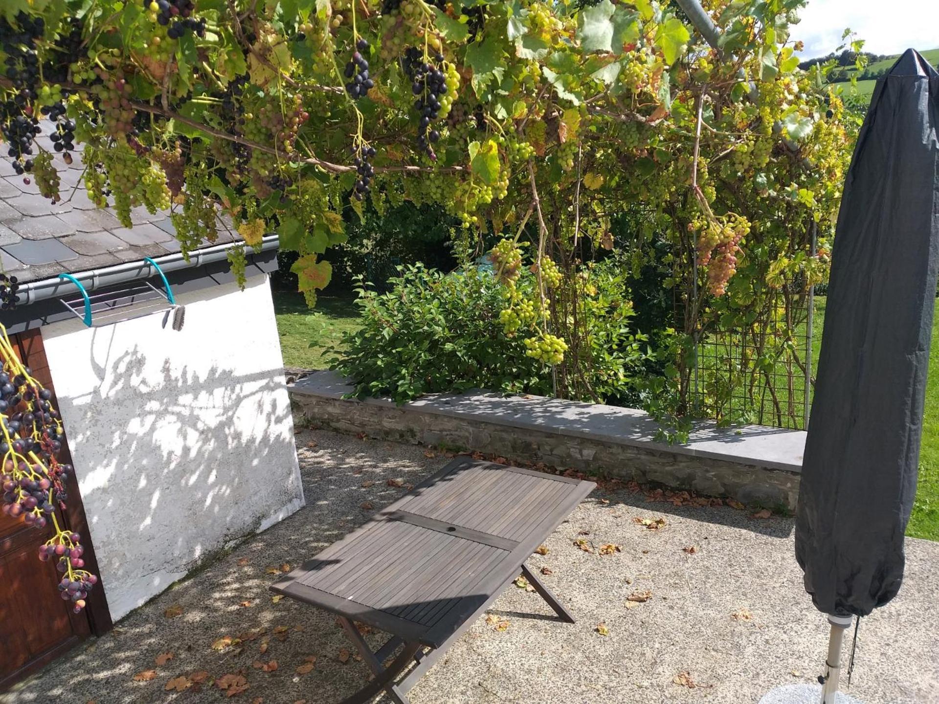Gite L'Ecole De Ma Mere Villa Bertogne Luaran gambar