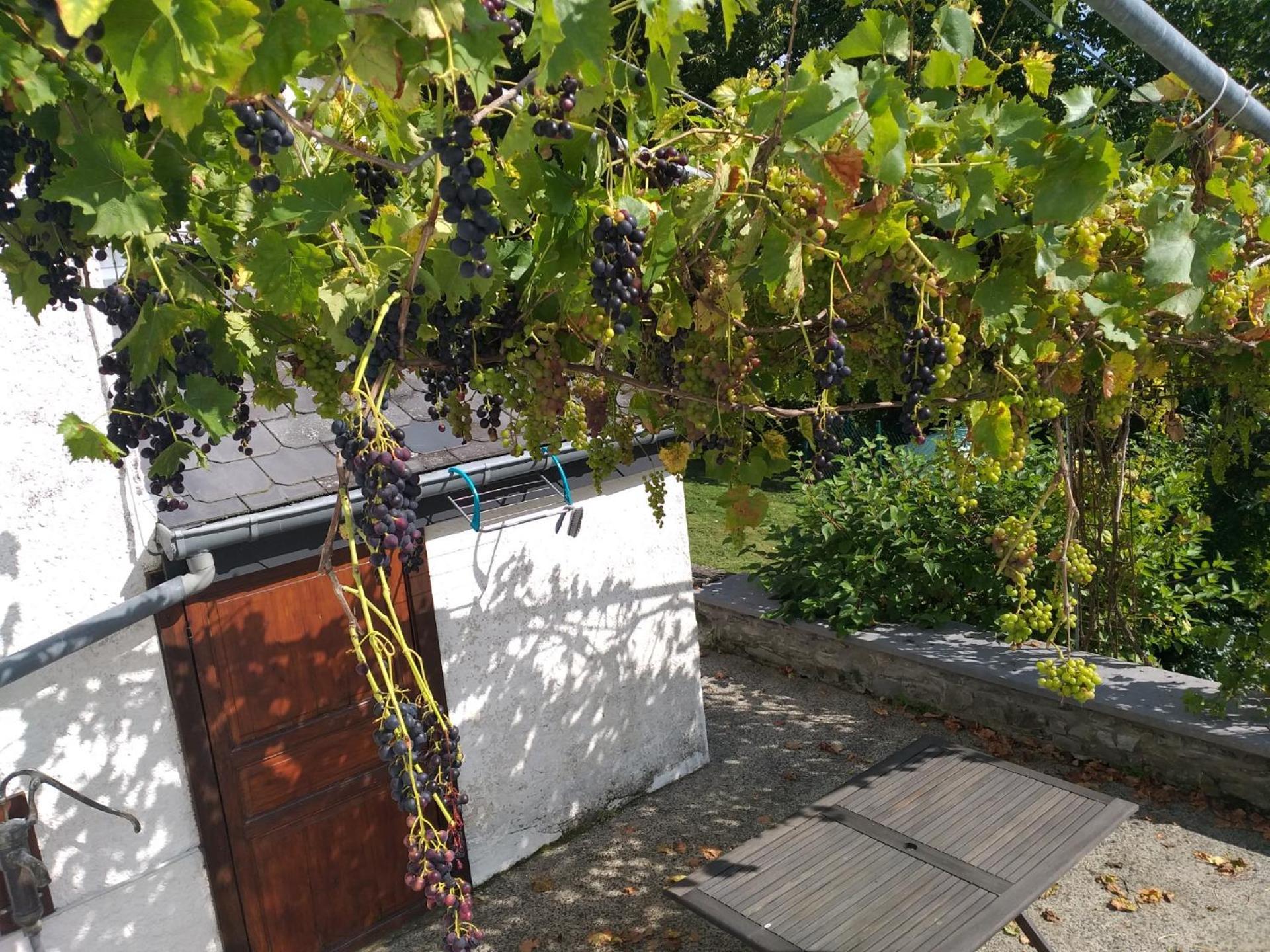 Gite L'Ecole De Ma Mere Villa Bertogne Luaran gambar