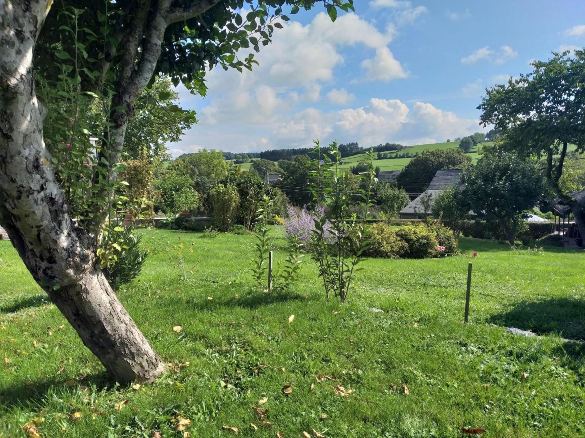 Gite L'Ecole De Ma Mere Villa Bertogne Luaran gambar